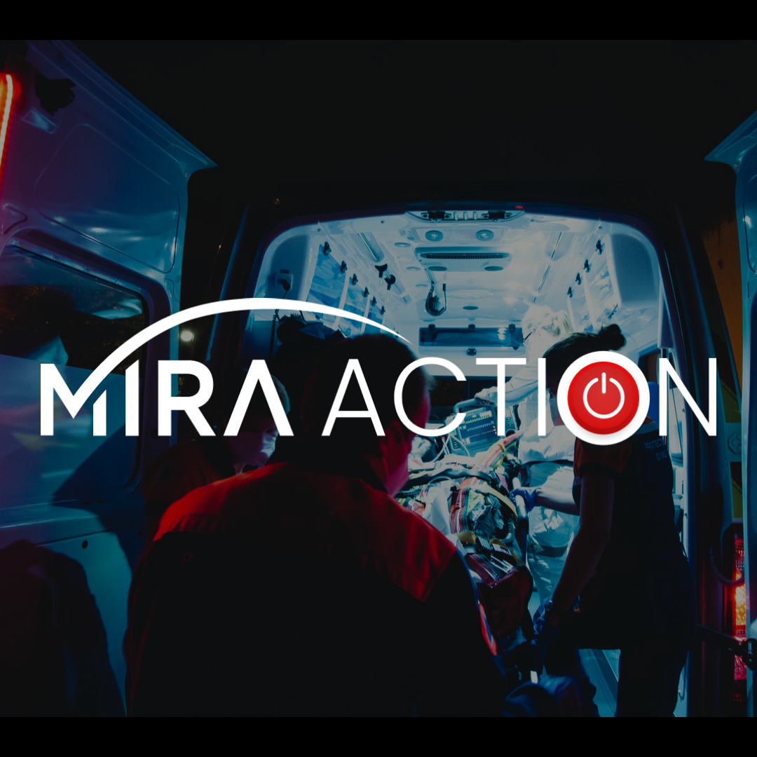 Our Purpose in Action - Inc.